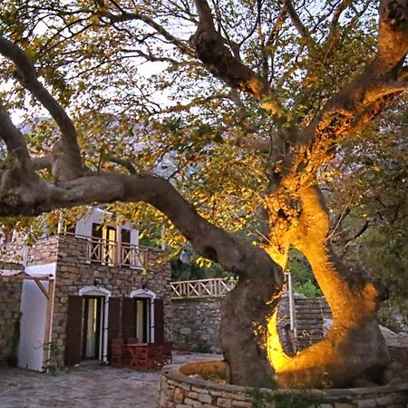 Ικαριων Γη Villa Manganíti Kültér fotó